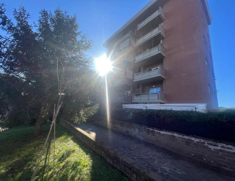 immagine annuncio 2 di 12