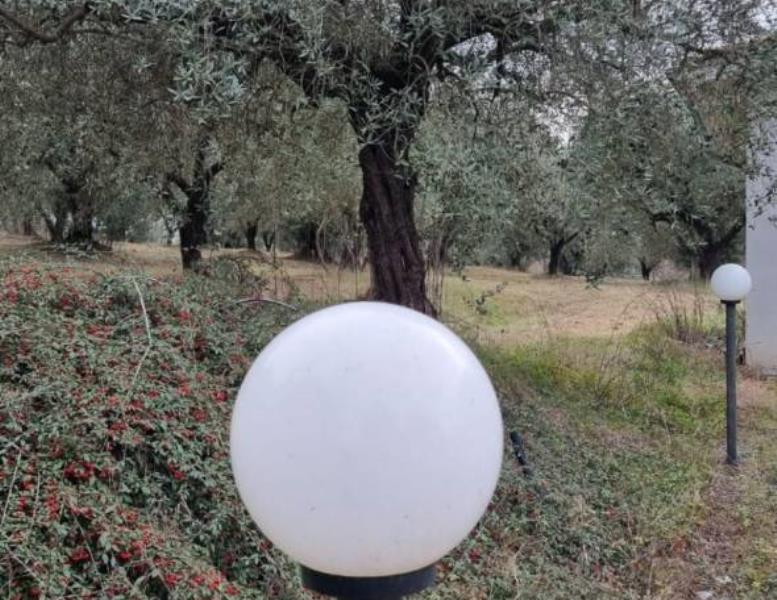 immagine annuncio 6 di 11