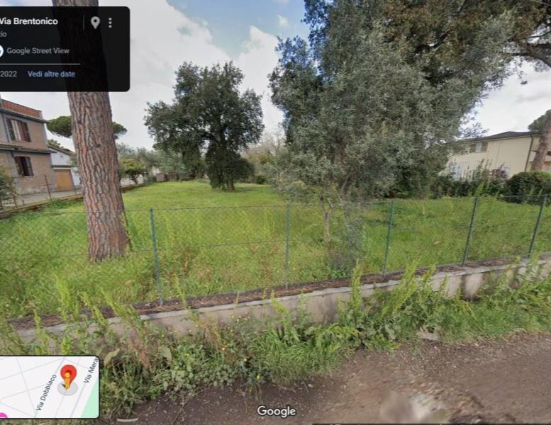 immagine annuncio 11 di 14