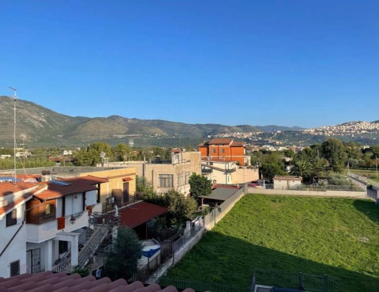 immagine annuncio 11 di 13