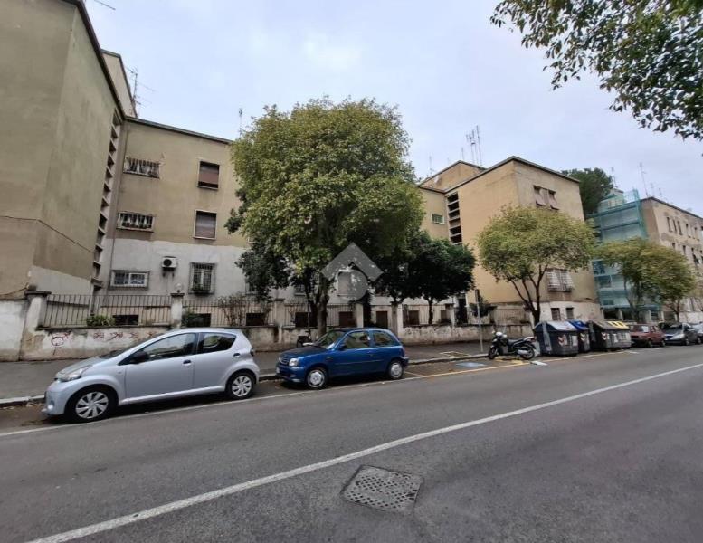 immagine annuncio 1 di 14