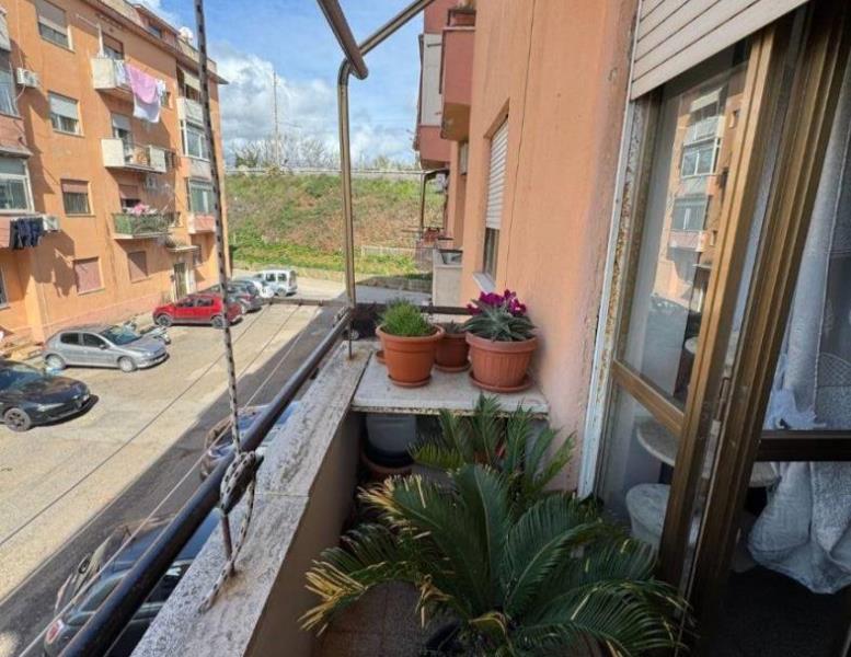 immagine annuncio 12 di 13