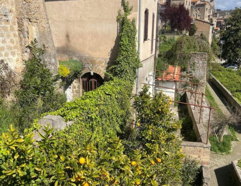 immagine annuncio 6 di 12