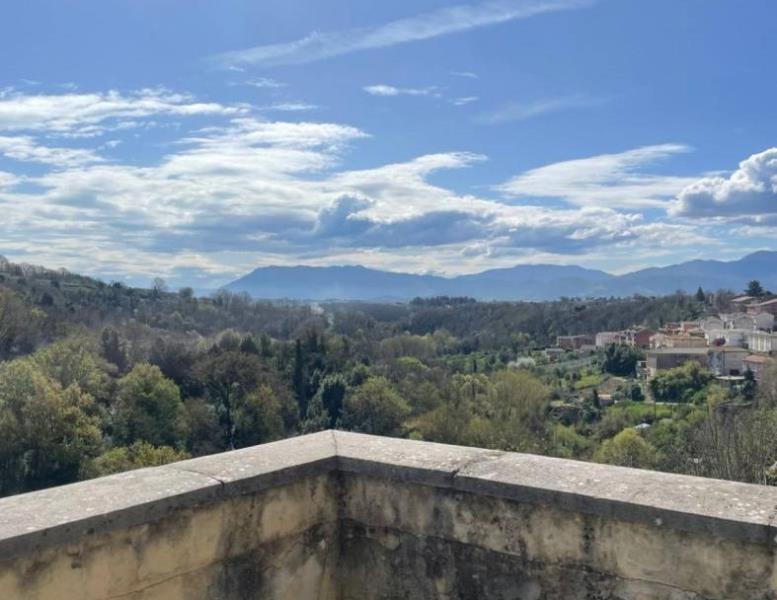 immagine annuncio 7 di 12