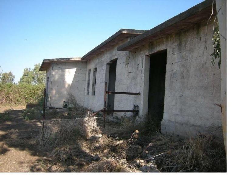 immagine annuncio 6 di 8