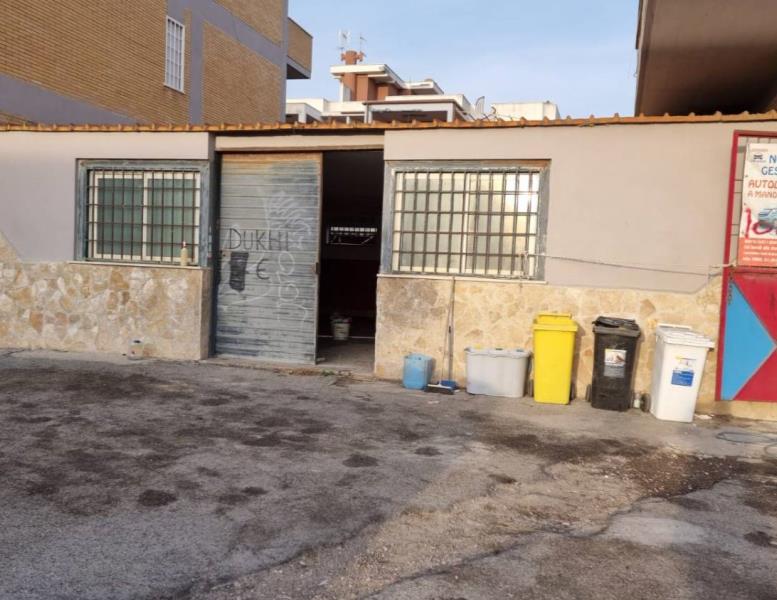 immagine annuncio 4 di 7