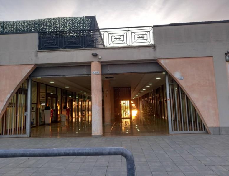 immagine annuncio 5 di 6