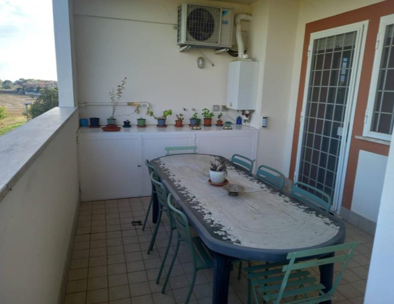 immagine annuncio 8 di 11