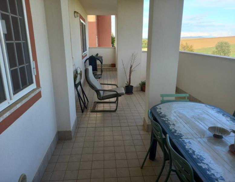 immagine annuncio 6 di 11