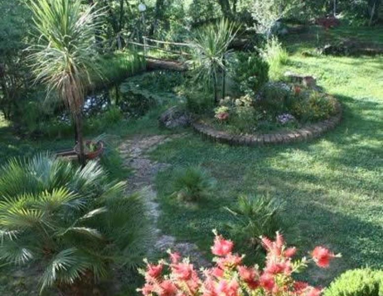 immagine annuncio 10 di 12