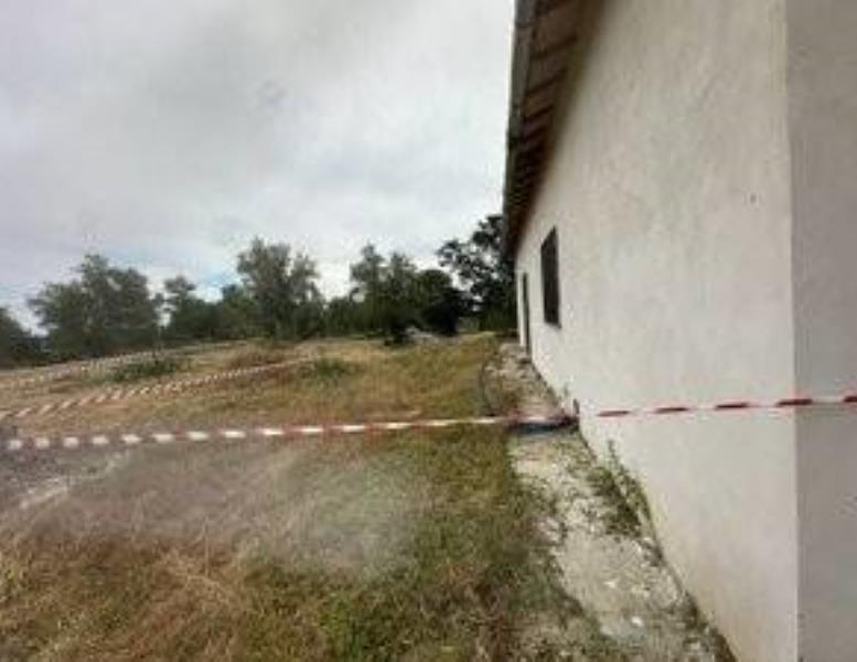 immagine annuncio 1 di 6