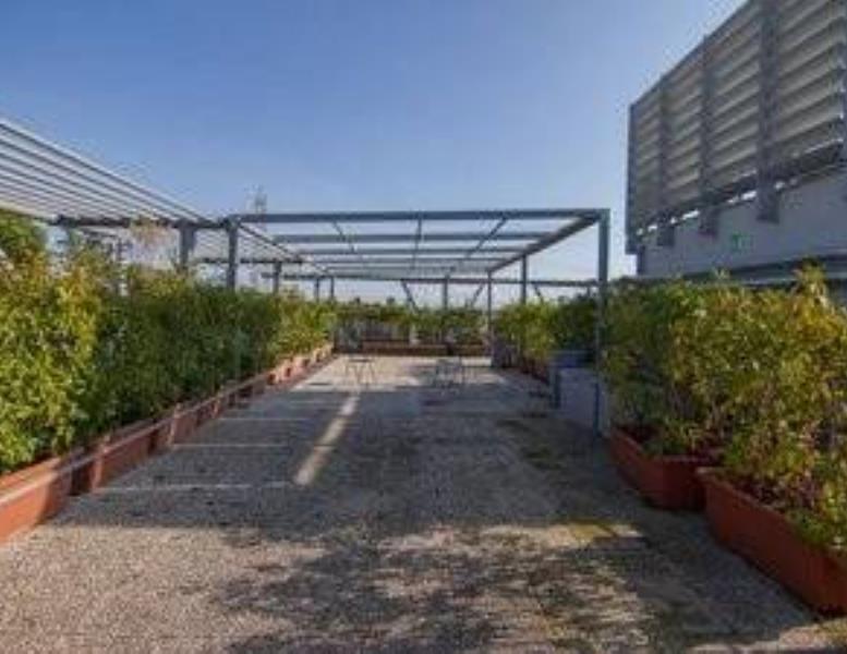 immagine annuncio 3 di 6