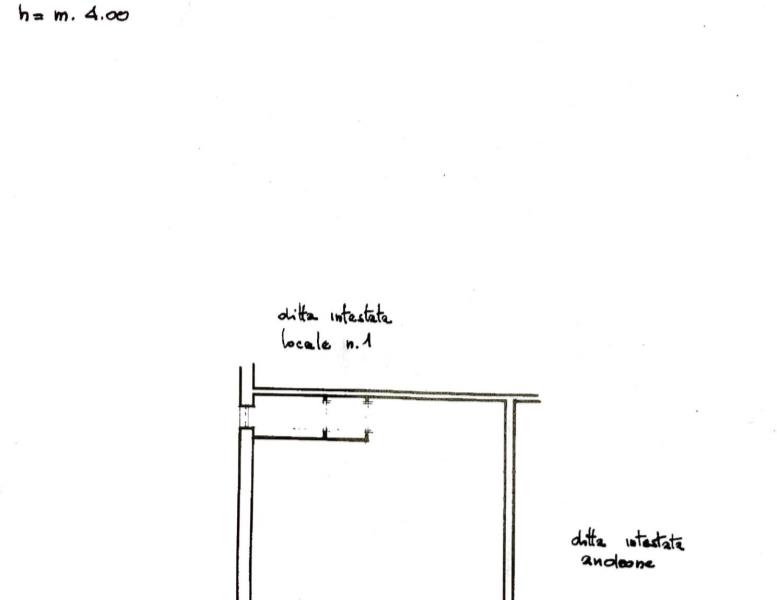 immagine annuncio 2 di 3