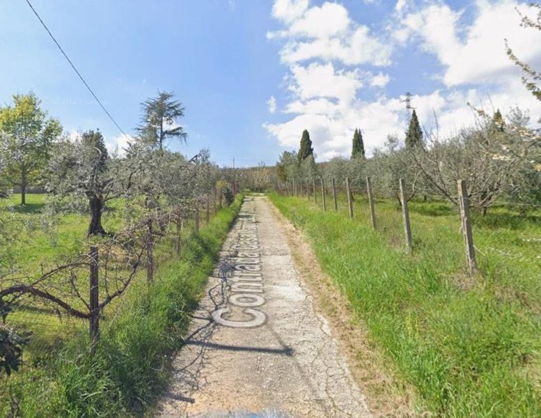 immagine annuncio 2 di 4