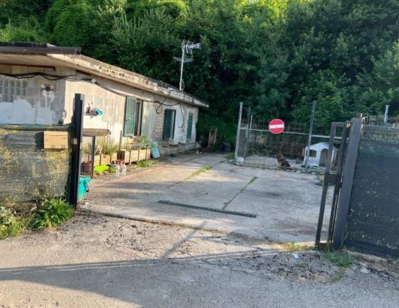 immagine annuncio 2 di 4