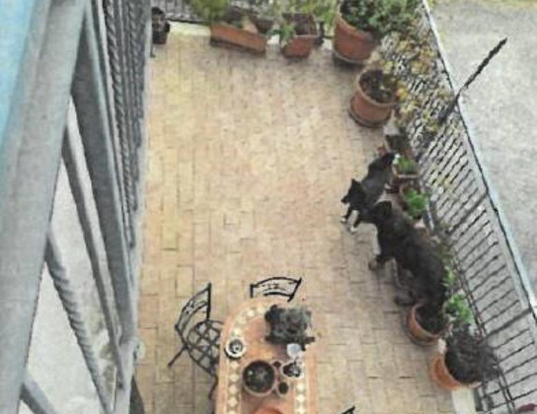 immagine annuncio 1 di 4