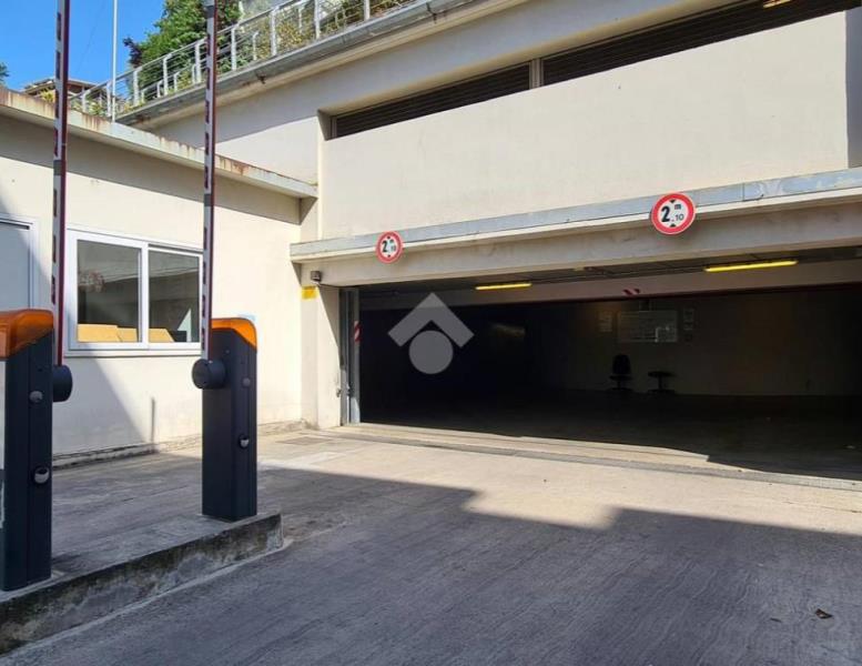 immagine annuncio 6 di 12