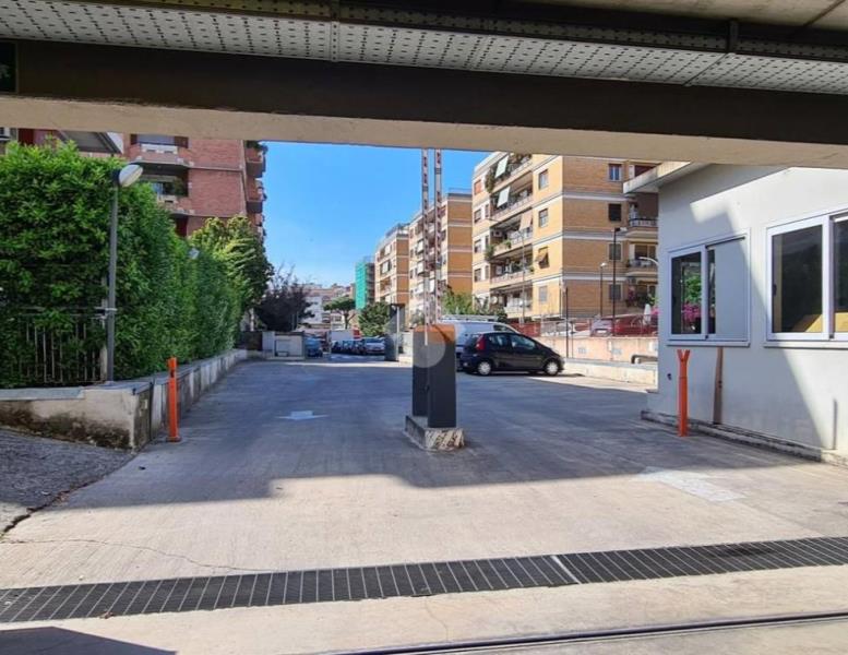 immagine annuncio 5 di 12