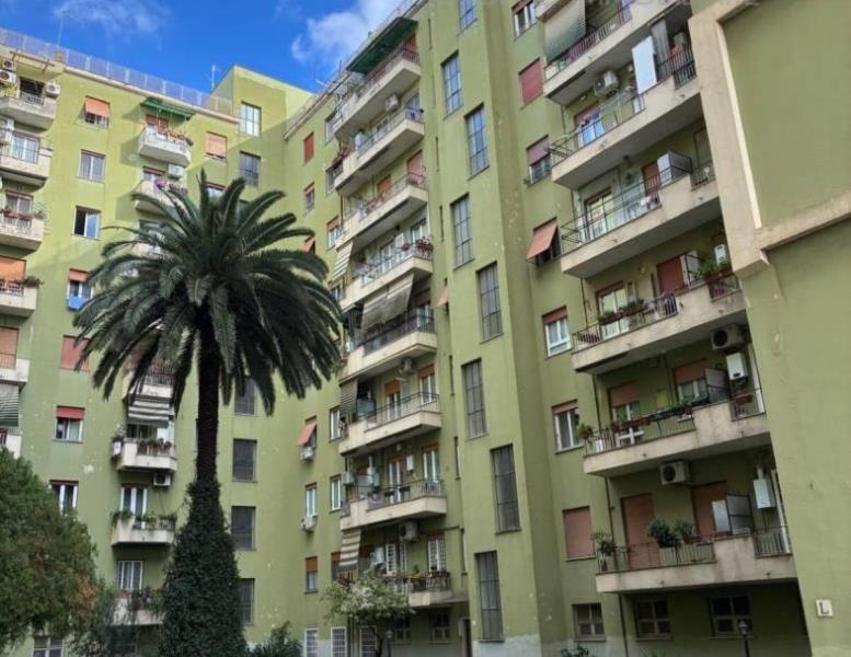 immagine annuncio 1 di 14