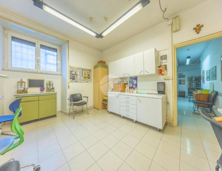 immagine annuncio 9 di 14
