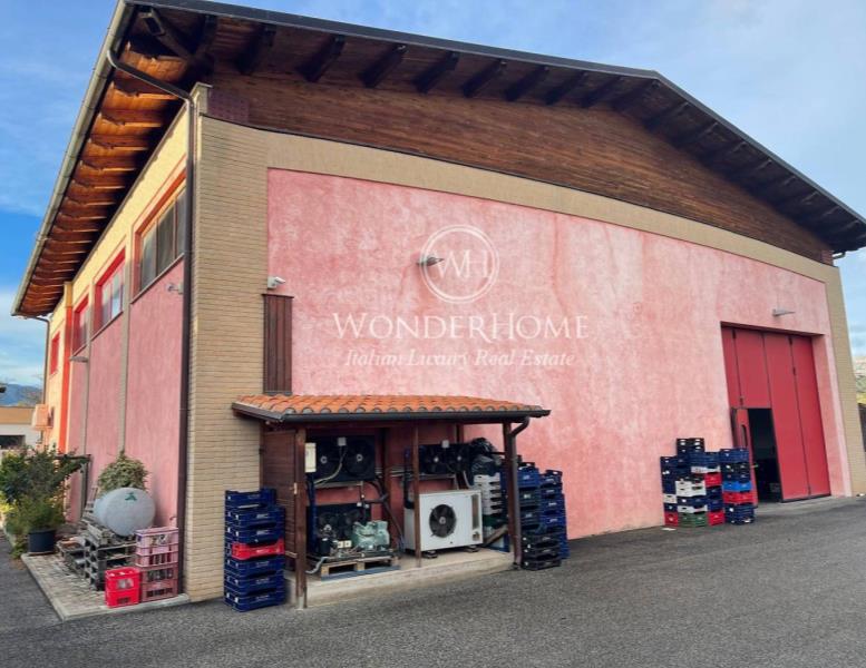 immagine annuncio 1 di 9