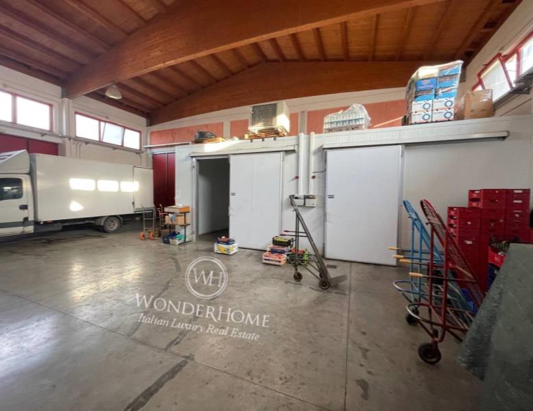 immagine annuncio 3 di 9