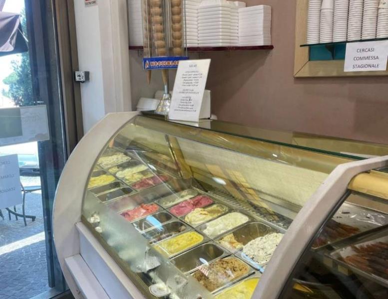 immagine annuncio 7 di 15