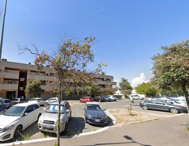 immagine annuncio 4 di 14