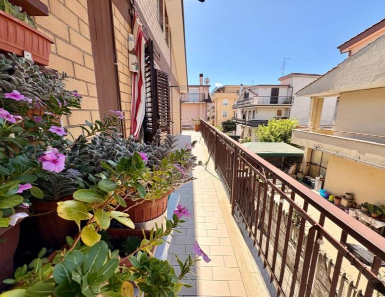 immagine annuncio 6 di 14