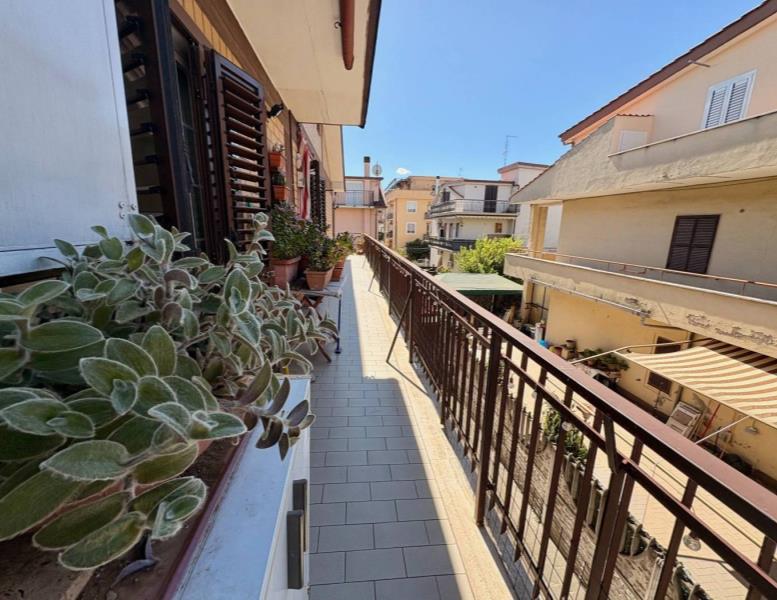 immagine annuncio 2 di 14