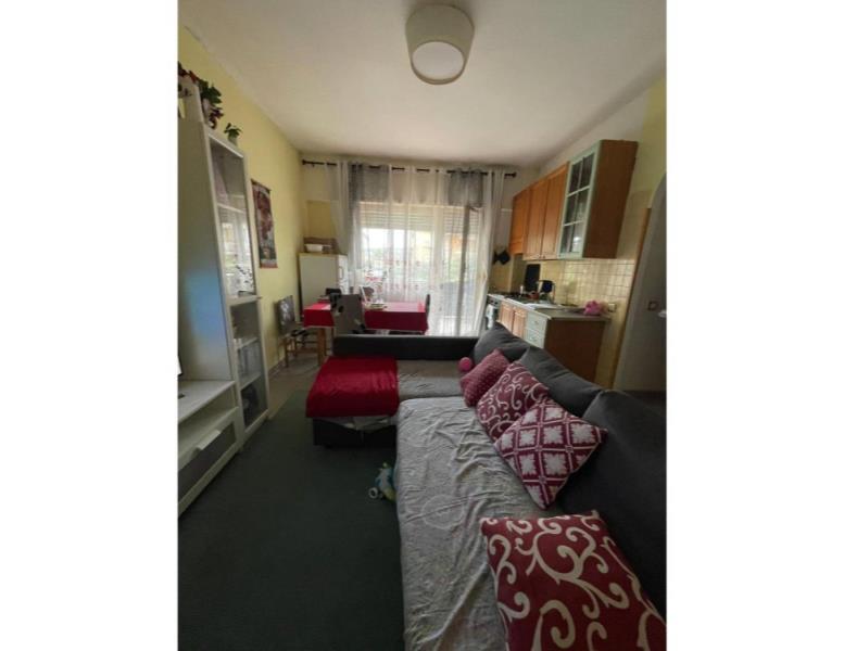 immagine annuncio 5 di 14