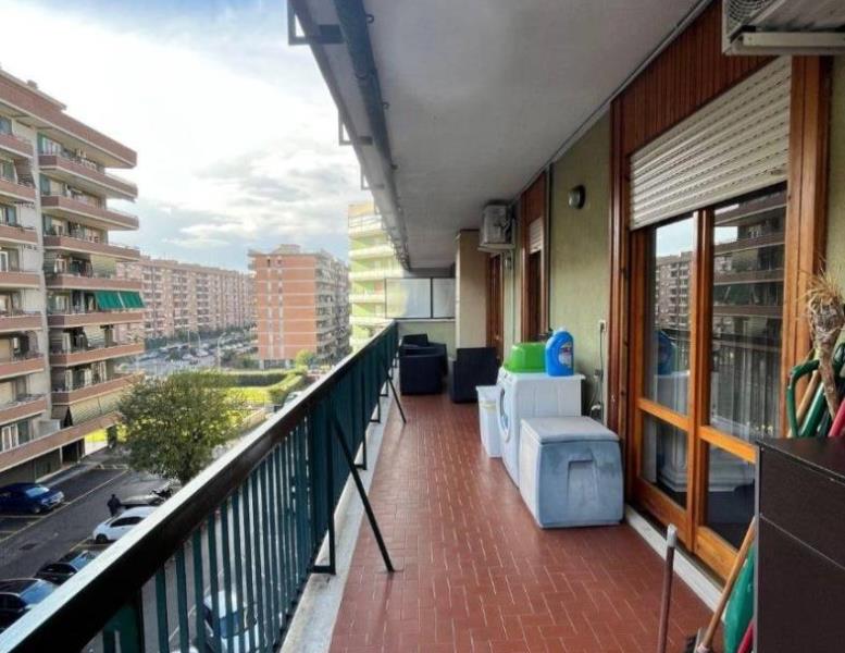 immagine annuncio 11 di 14