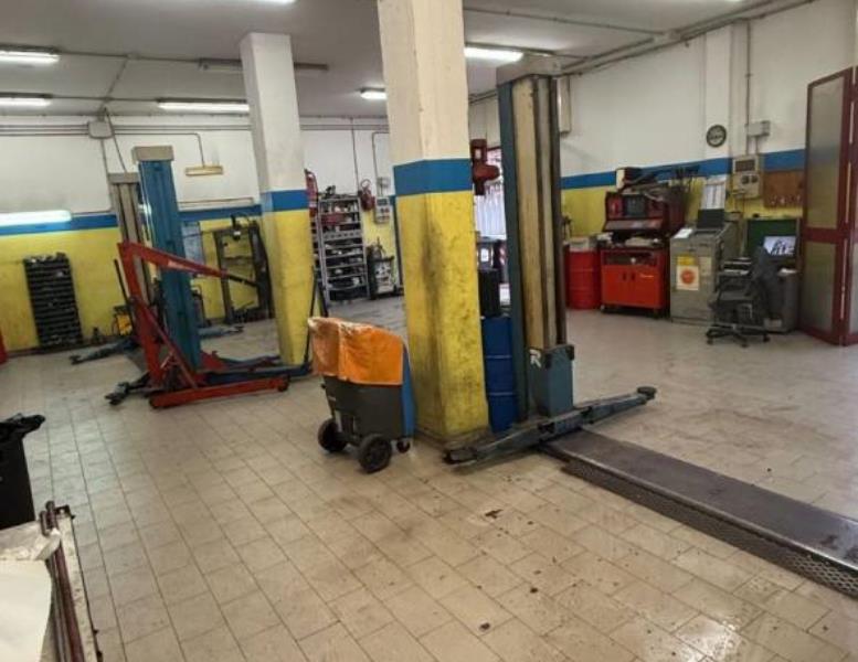 immagine annuncio 2 di 12