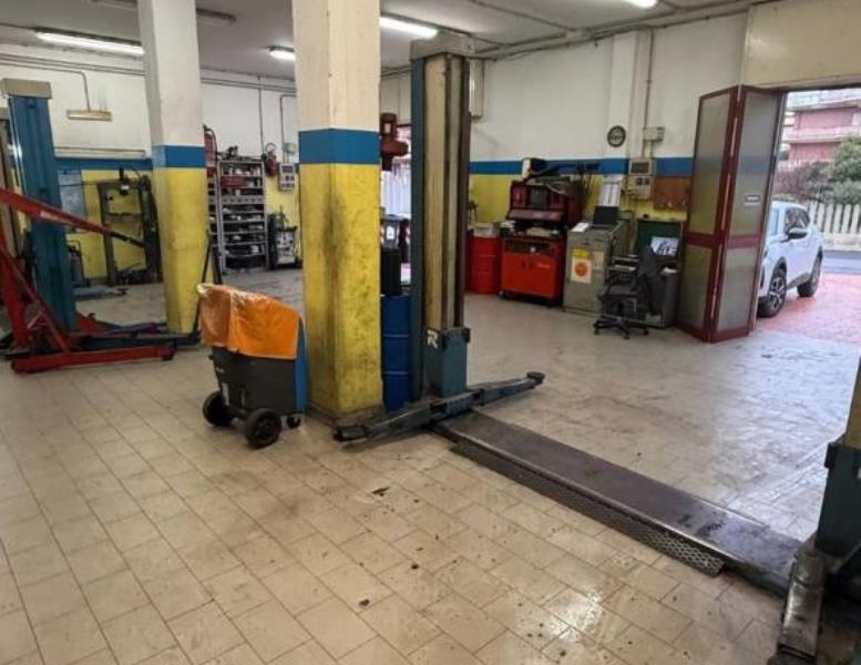 immagine annuncio 3 di 12