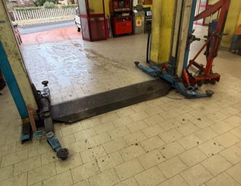 immagine annuncio 9 di 12