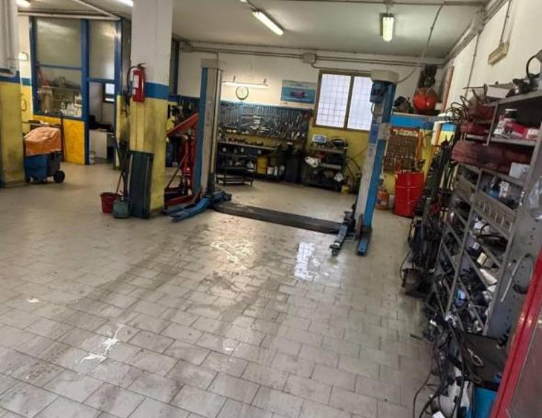 immagine annuncio 1 di 12