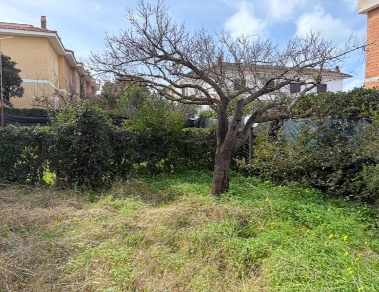 immagine annuncio 5 di 12