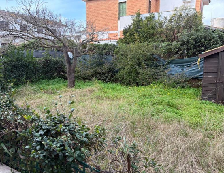 immagine annuncio 3 di 12