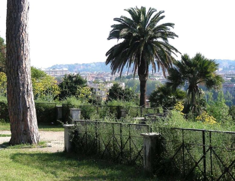 immagine annuncio 2 di 4