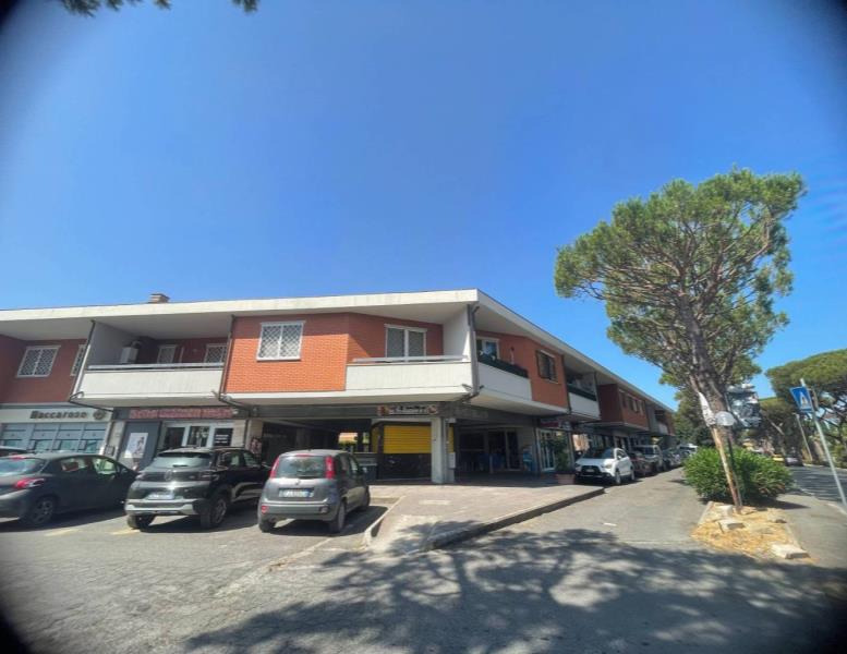 immagine annuncio 12 di 14