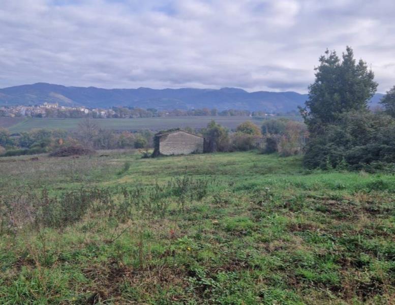 immagine annuncio 4 di 6