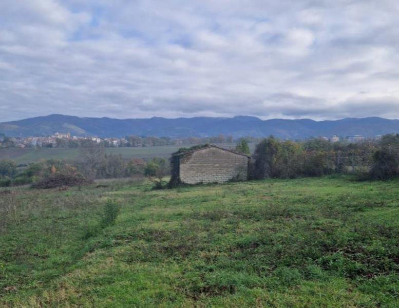 immagine annuncio 3 di 6