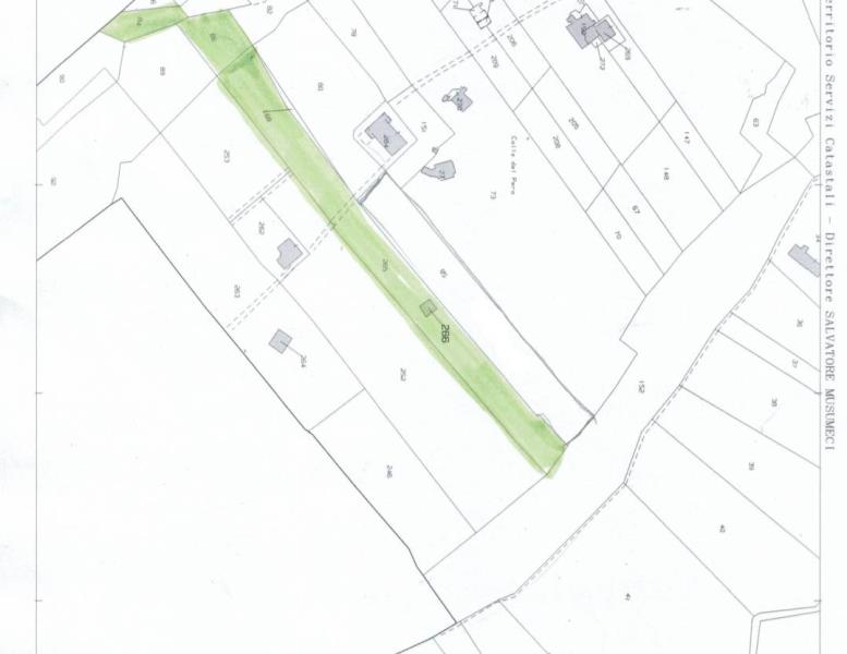 immagine annuncio 5 di 6