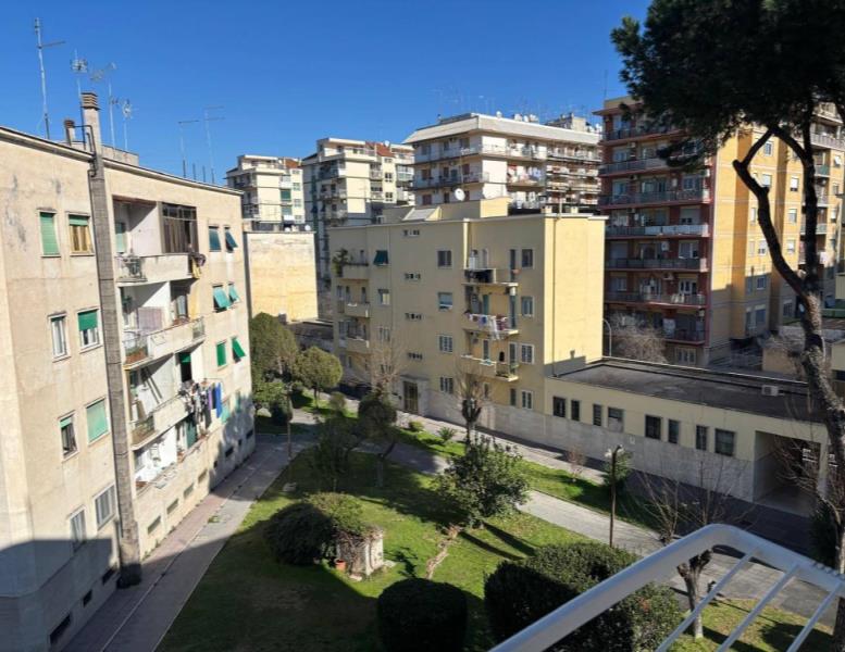 immagine annuncio 3 di 14