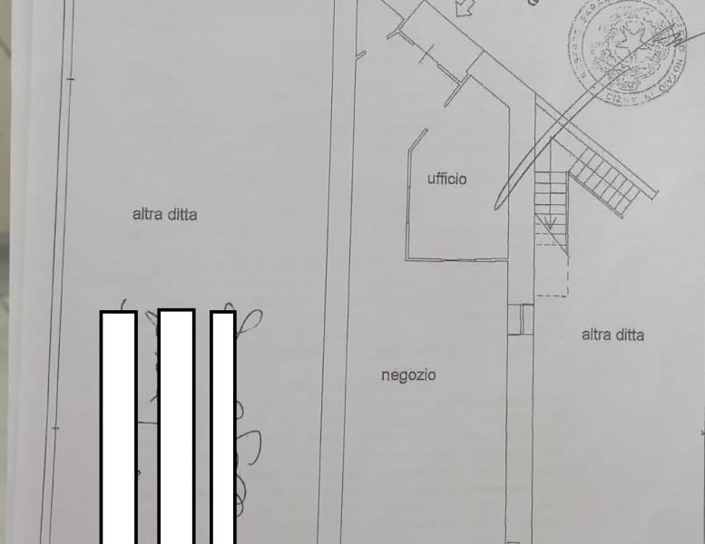 immagine annuncio 3 di 4