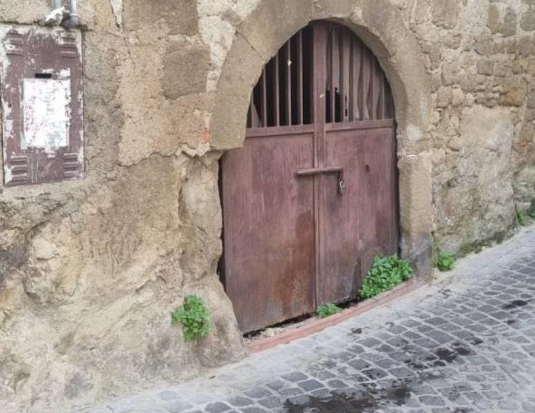 immagine annuncio 9 di 13