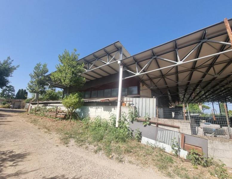 immagine annuncio 2 di 4