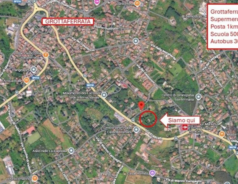 immagine annuncio 10 di 14