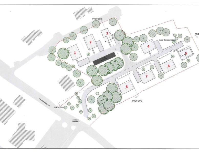 immagine annuncio 13 di 14