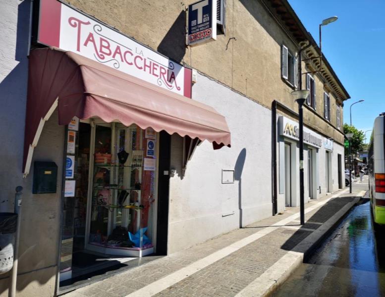 immagine annuncio 9 di 13